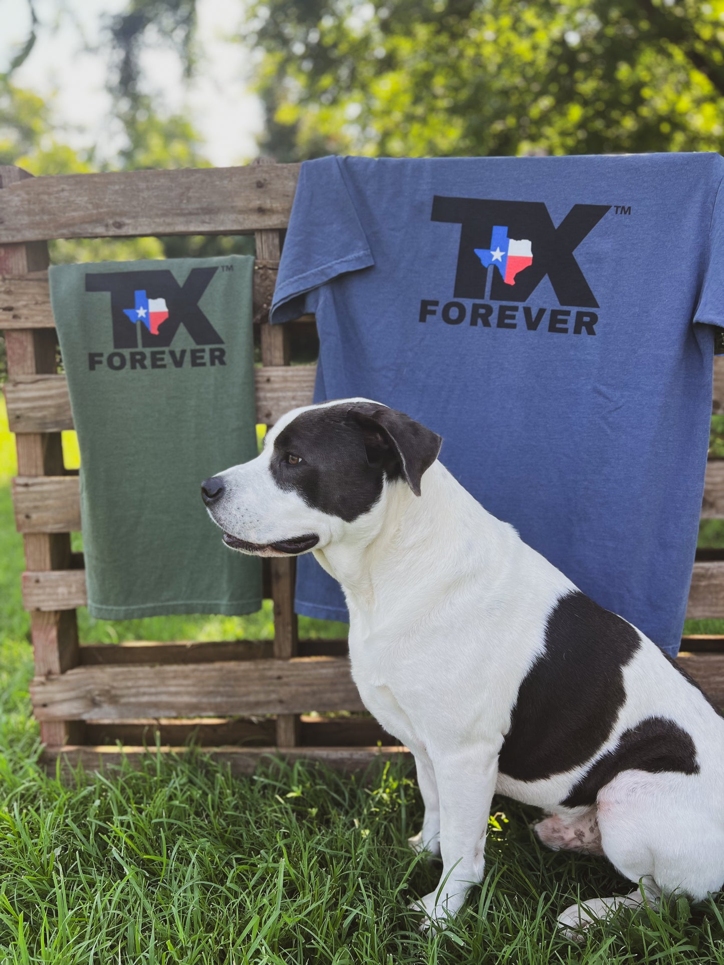 TX Texas Forever T-Shirt